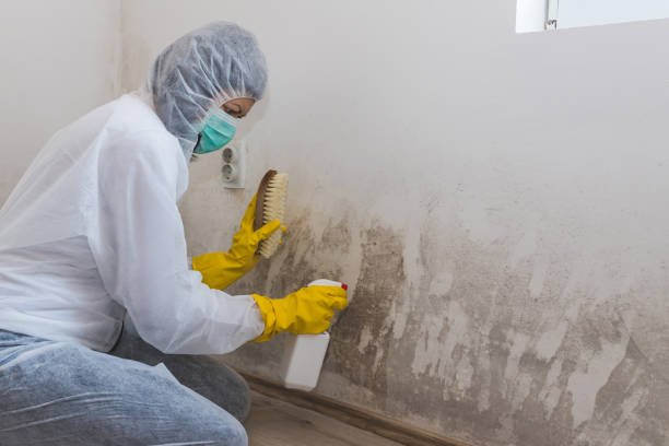 Best Crawl Space Mold Remediation  in Argyle, TX