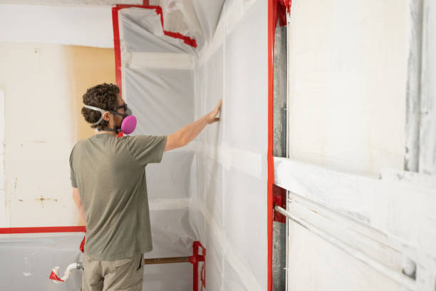 Best Emergency Mold Remediation  in Argyle, TX