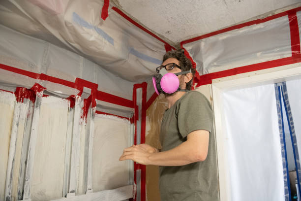 Best Mold-Related Health Consultation  in Argyle, TX