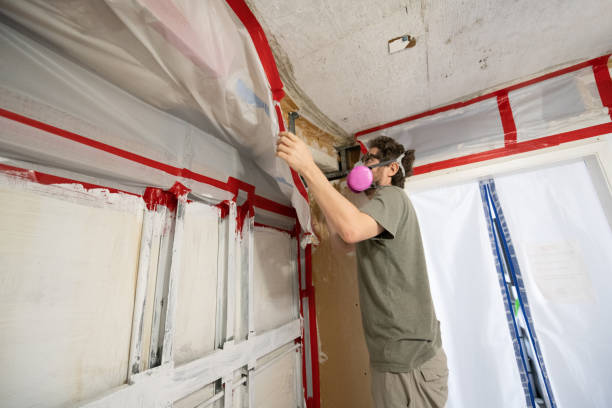 Best Post-Remediation Verification Testing  in Argyle, TX