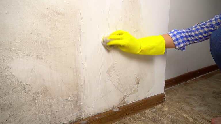 Best Mold Prevention Services  in Argyle, TX