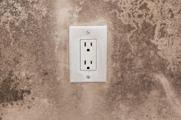 Best Water Damage & Mold Remediation  in Argyle, TX